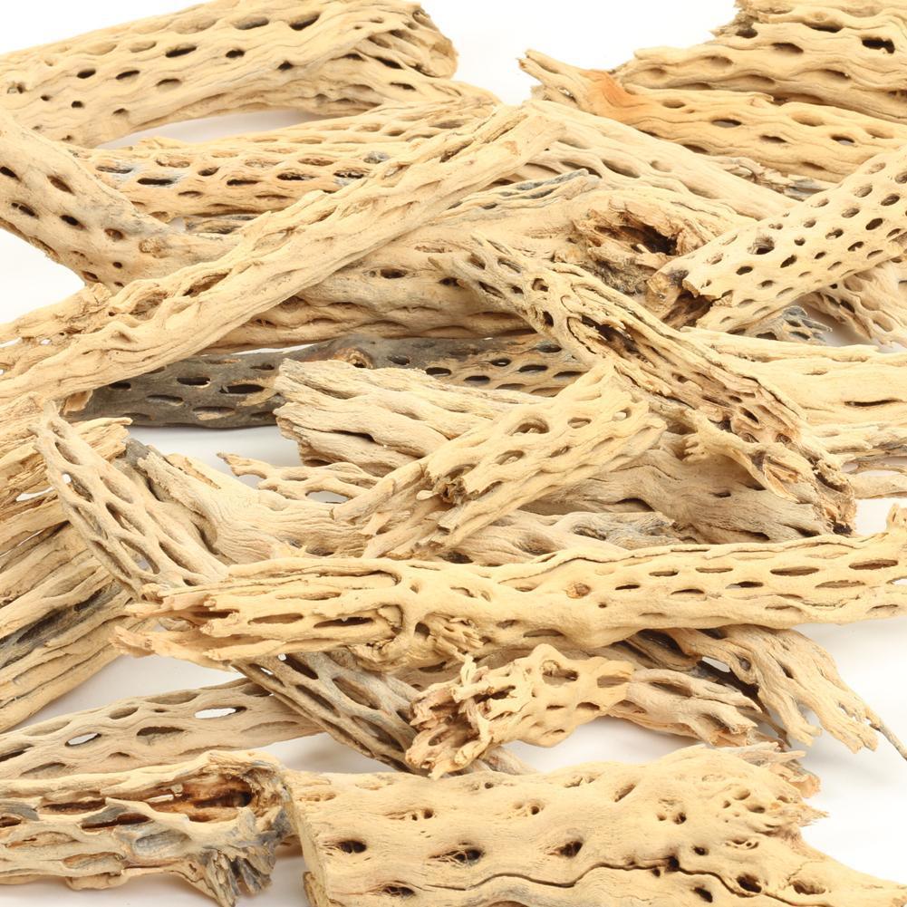 10" Cholla Wood - Ruby Mountain Aquarium supply
