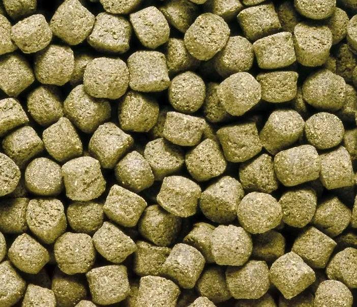 Hikari Economy Floating Large Pellet Pond Food - Ruby Mountain Aquarium supply
