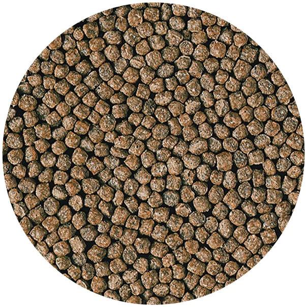 Hikari Goldfish Staple Floating Baby Pellet Food - Ruby Mountain Aquarium supply