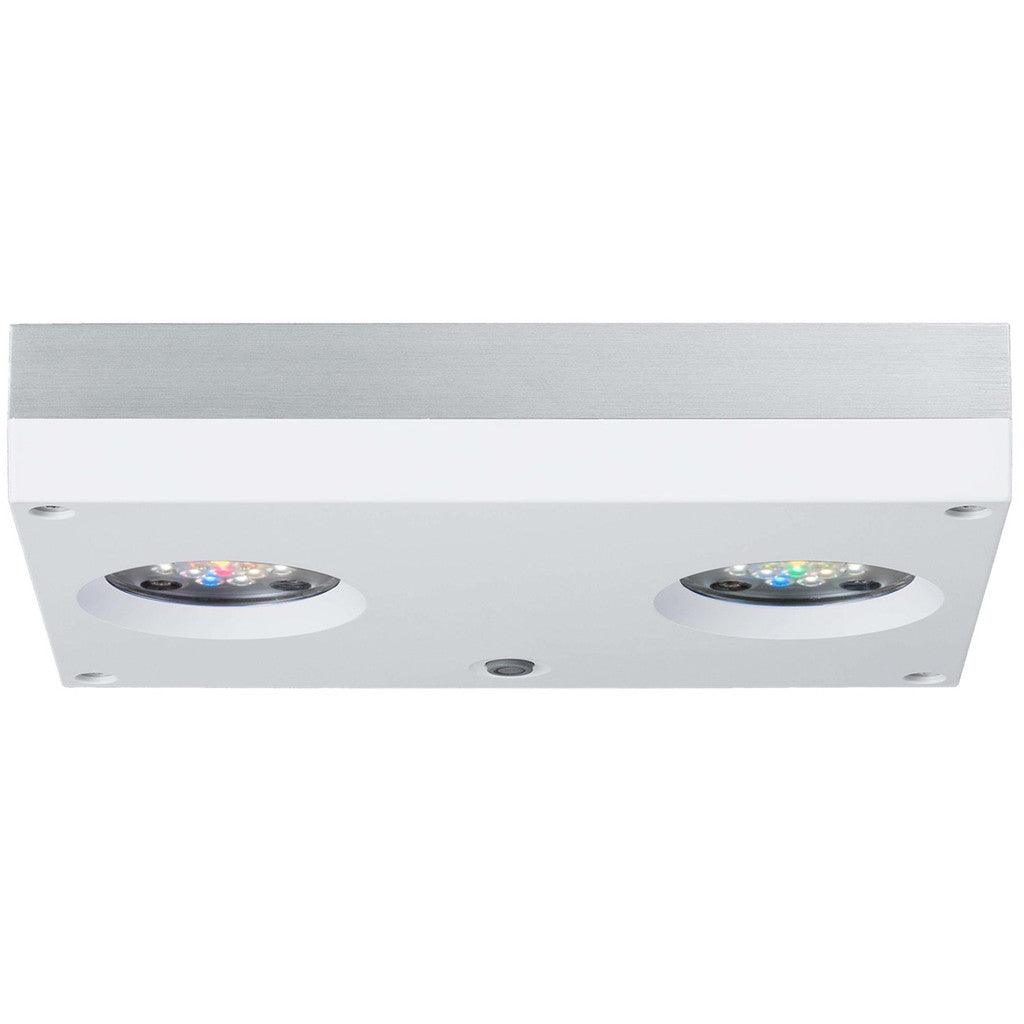 AI Hydra 32 HD Freshwater LED Module - White Body - Ruby Mountain Aquarium supply
