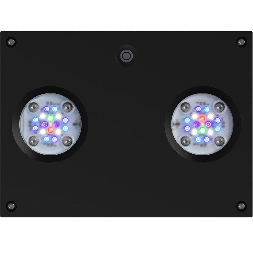 AI Hydra 32 HD LED Module - Black Body - Ruby Mountain Aquarium supply