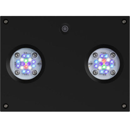 AI Hydra 32 HD LED Module - Black Body - Ruby Mountain Aquarium supply