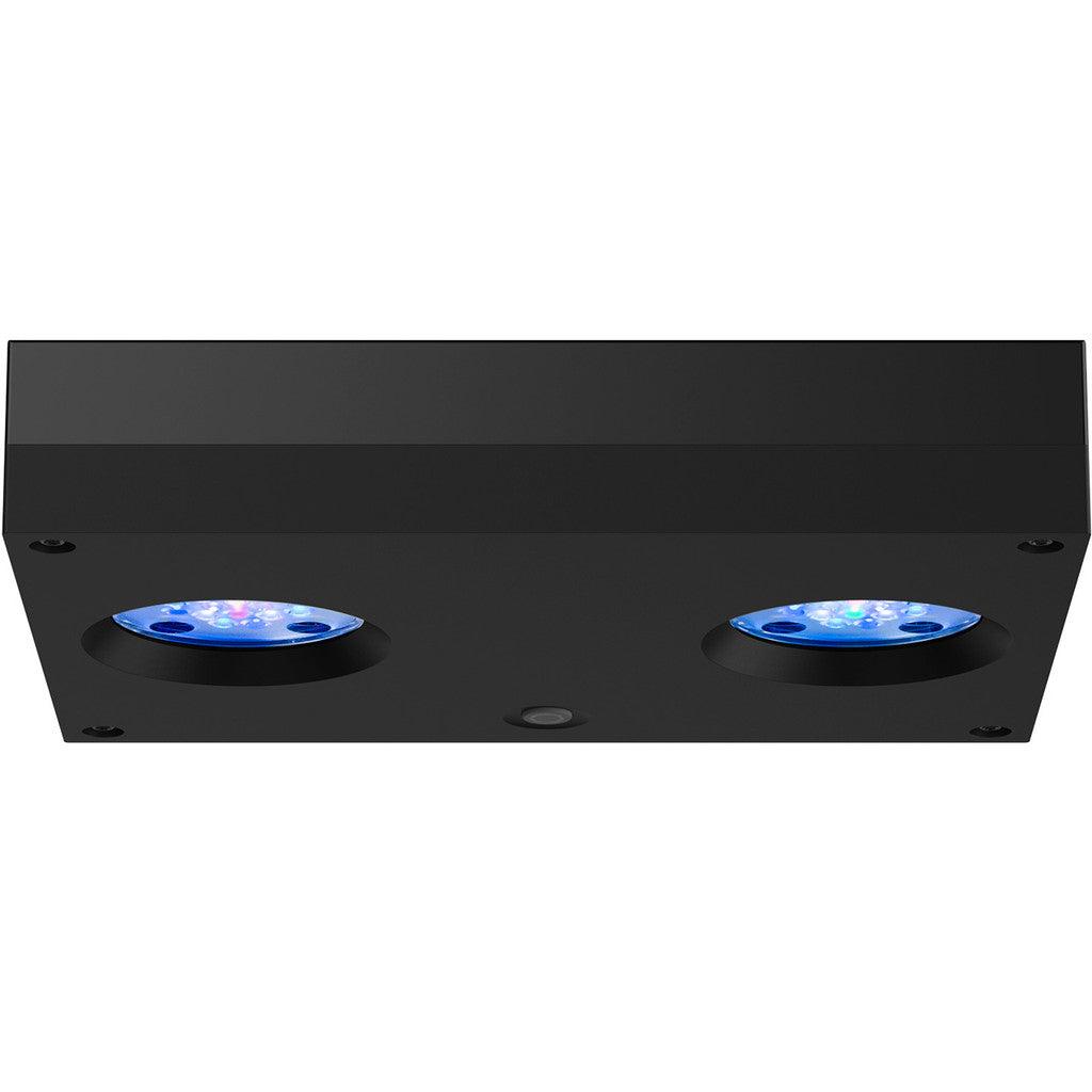 AI Hydra 32 HD LED Module - Black Body - Ruby Mountain Aquarium supply