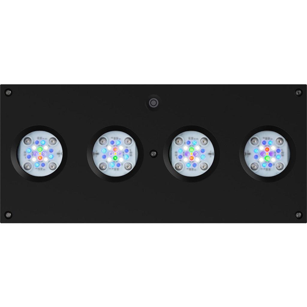 AI Hydra 64 HD LED Module - Black Body - Ruby Mountain Aquarium supply