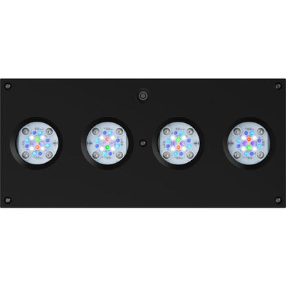 AI Hydra 64 HD LED Module - Black Body - Ruby Mountain Aquarium supply