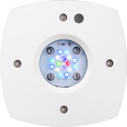 AI Hydra Prime 16 HD LED Module - White Body - Ruby Mountain Aquarium supply