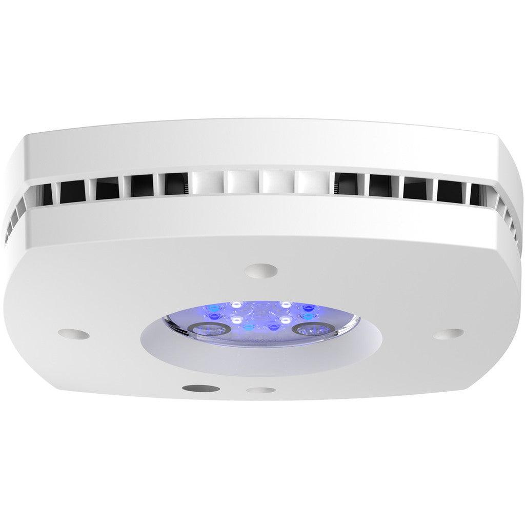 AI Hydra Prime 16 HD Sol LED Module - White Body - Ruby Mountain Aquarium supply