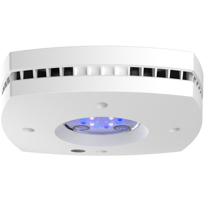 AI Hydra Prime 16 HD Sol LED Module - White Body - Ruby Mountain Aquarium supply