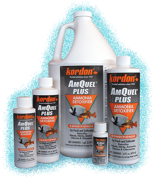 AmQuel® Plus™ - Ruby Mountain Aquarium supply