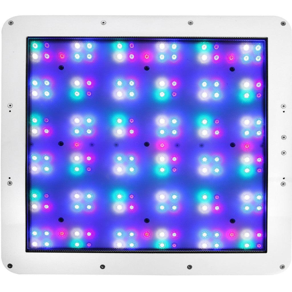 ATI Straton LED Light - Ruby Mountain Aquarium supply