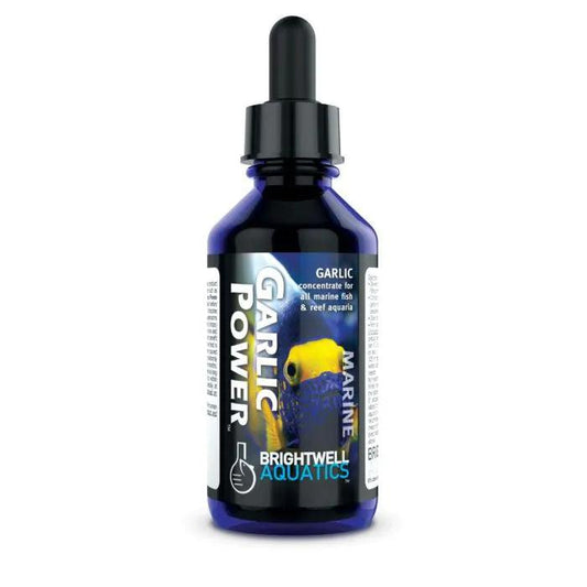 Brightwell Aquatics Garlic Power - Ruby Mountain Aquarium supply
