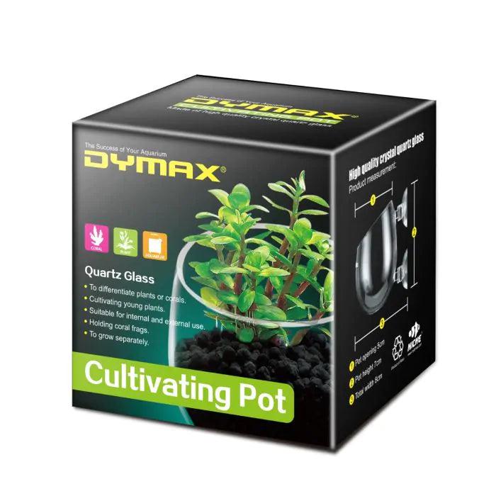 Dymax Crystal Cultivating Pot - Ruby Mountain Aquarium supply