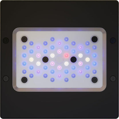 EcoTech Marine Radion G6 XR15 Blue LED Light - XR15G6BLUE-US - Ruby Mountain Aquarium supply