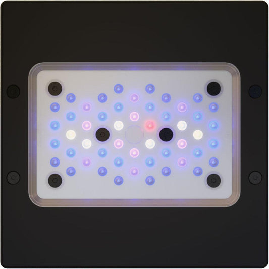 EcoTech Marine Radion G6 XR15 Blue LED Light - XR15G6BLUE-US - Ruby Mountain Aquarium supply