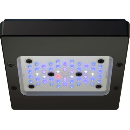 EcoTech Marine Radion G6 XR15 Blue LED Light - XR15G6BLUE-US - Ruby Mountain Aquarium supply