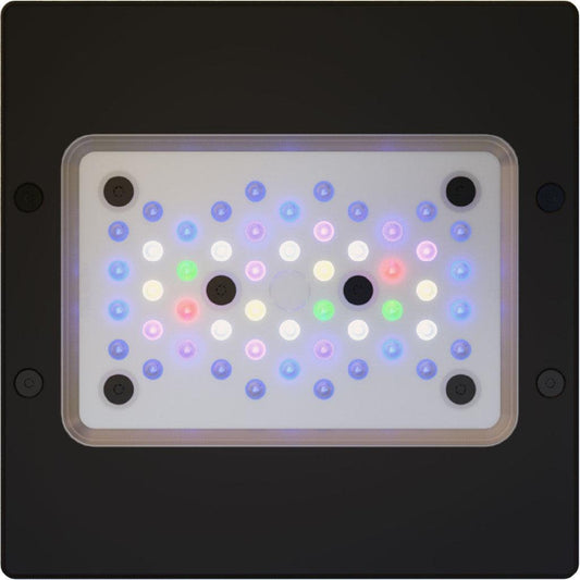 EcoTech Marine Radion G6 XR15 Pro LED Light - Ruby Mountain Aquarium supply