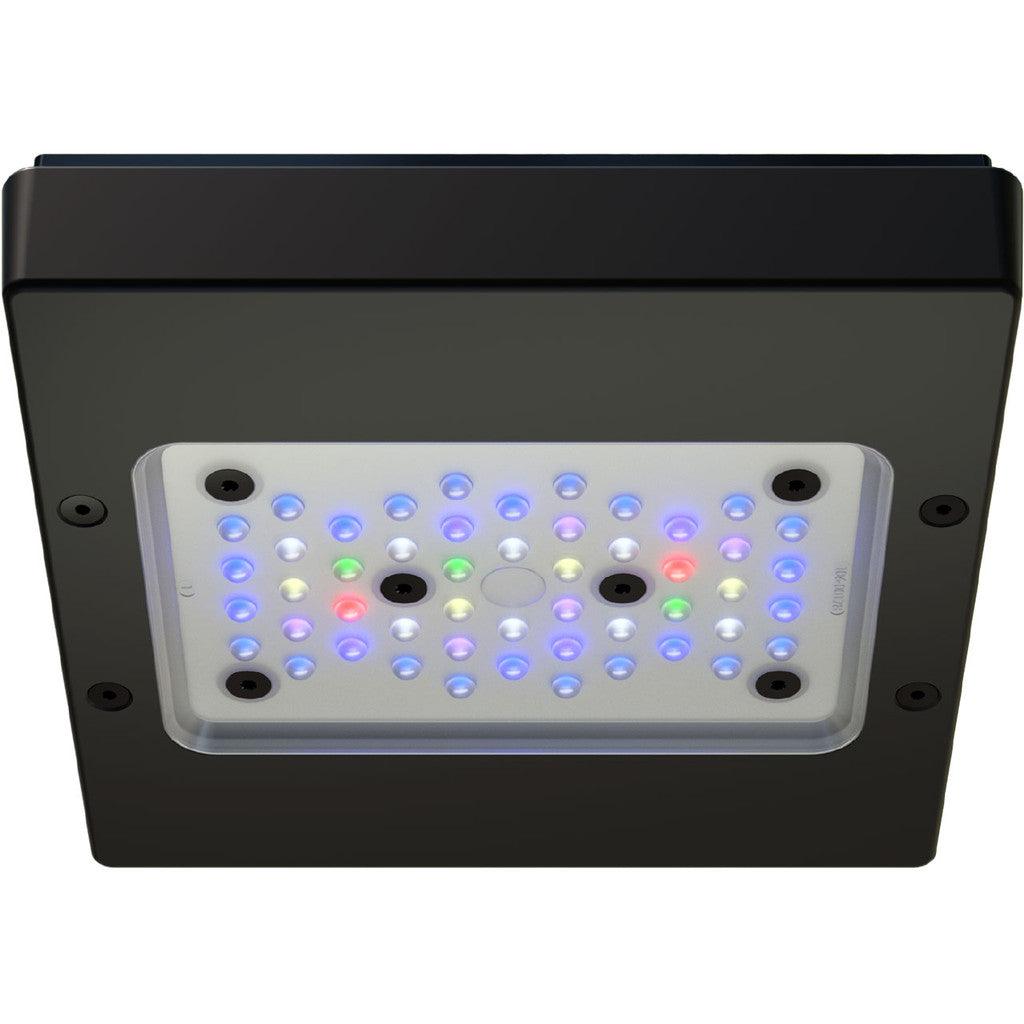 EcoTech Marine Radion G6 XR15 Pro LED Light - Ruby Mountain Aquarium supply