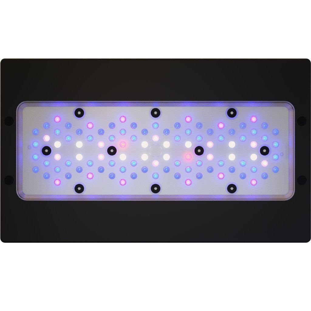 EcoTech Marine Radion G6 XR30 Blue LED Light - Ruby Mountain Aquarium supply