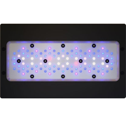 EcoTech Marine Radion G6 XR30 Blue LED Light - Ruby Mountain Aquarium supply