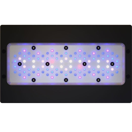 EcoTech Marine Radion G6 XR30 Blue LED Light - Ruby Mountain Aquarium supply
