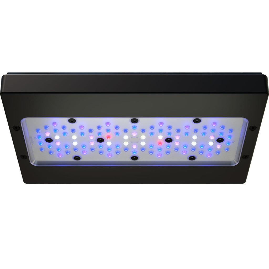 EcoTech Marine Radion G6 XR30 Blue LED Light - Ruby Mountain Aquarium supply