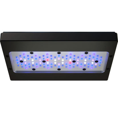 EcoTech Marine Radion G6 XR30 Blue LED Light - Ruby Mountain Aquarium supply
