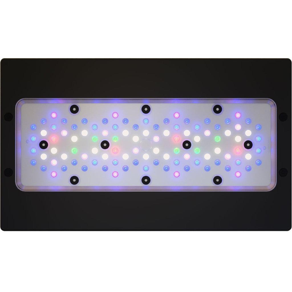 EcoTech Marine Radion G6 XR30 Pro LED Light - Ruby Mountain Aquarium supply