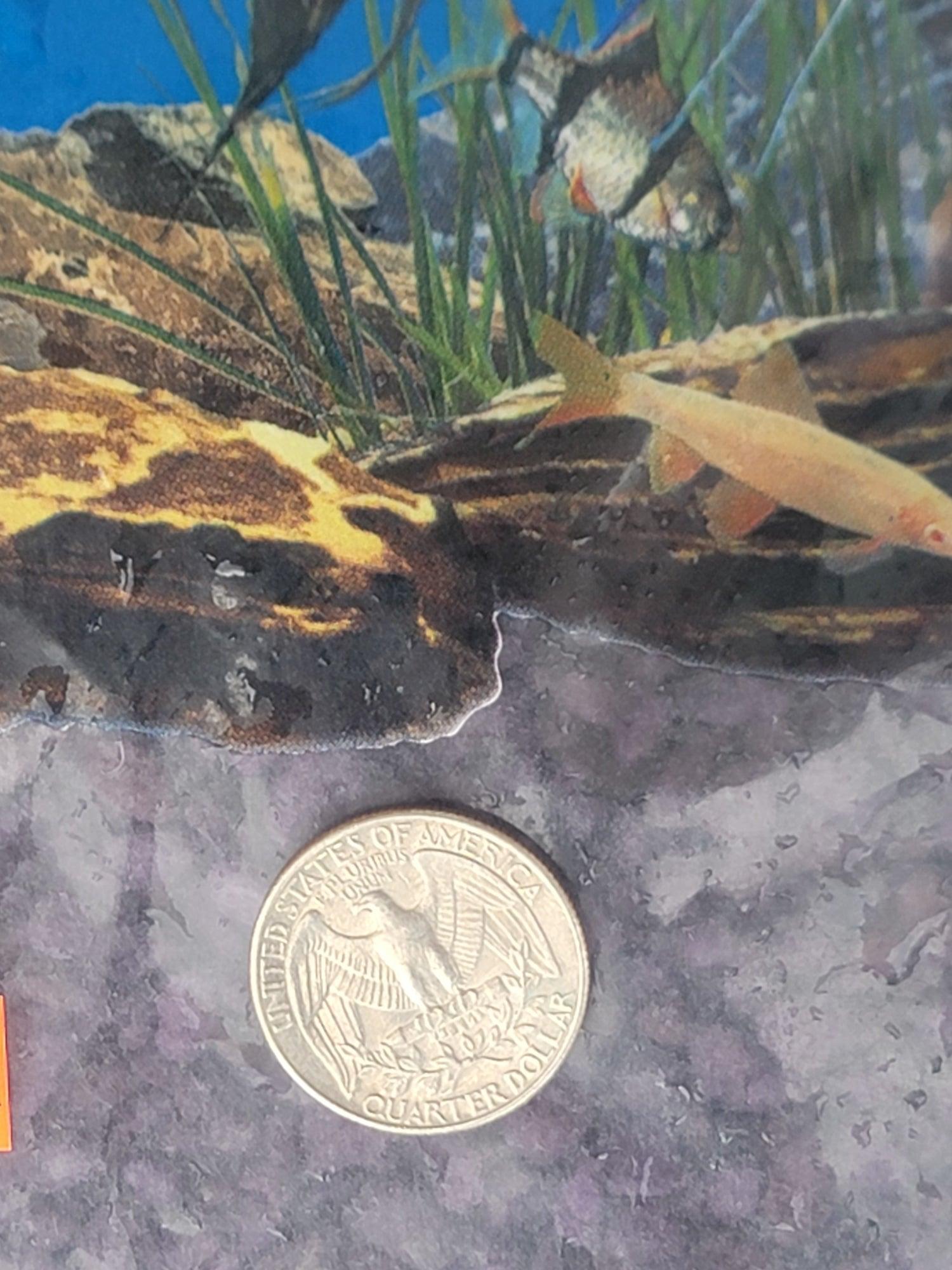 Estes Spectrapure Purple Passion Gravel - Ruby Mountain Aquarium supply