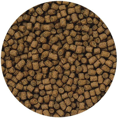 Hikari Cichlid Bio Gold+ Floating Mini Pellet Food - Ruby Mountain Aquarium supply