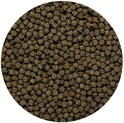 Hikari Cichlid Excel Mini Pellet - Ruby Mountain Aquarium supply