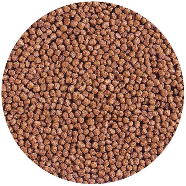 Hikari Cichlid Gold Floating Baby Pellet Food - Ruby Mountain Aquarium supply