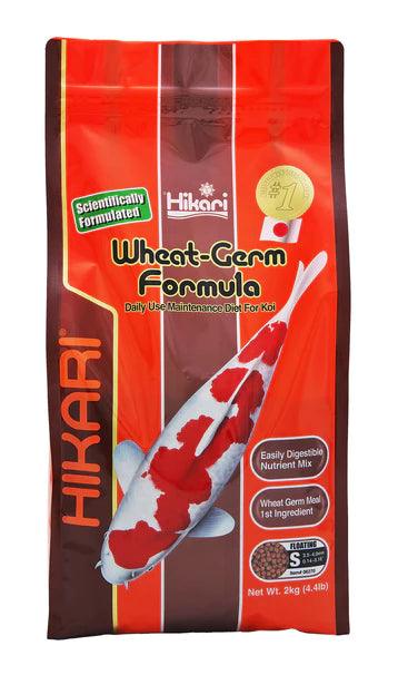 Hikari Wheat Germ Floating Mini Pellet Food - Ruby Mountain Aquarium supply