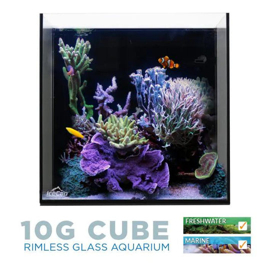 IceCap 10 Gallon Cube AIO Rimless Glass Aquarium - Ruby Mountain Aquarium supply