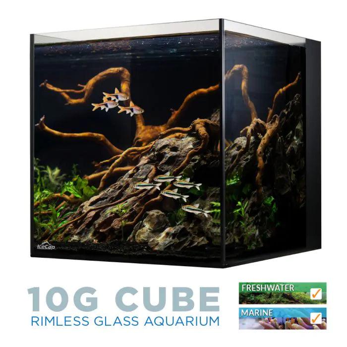 IceCap 10 Gallon Cube AIO Rimless Glass Aquarium - Ruby Mountain Aquarium supply