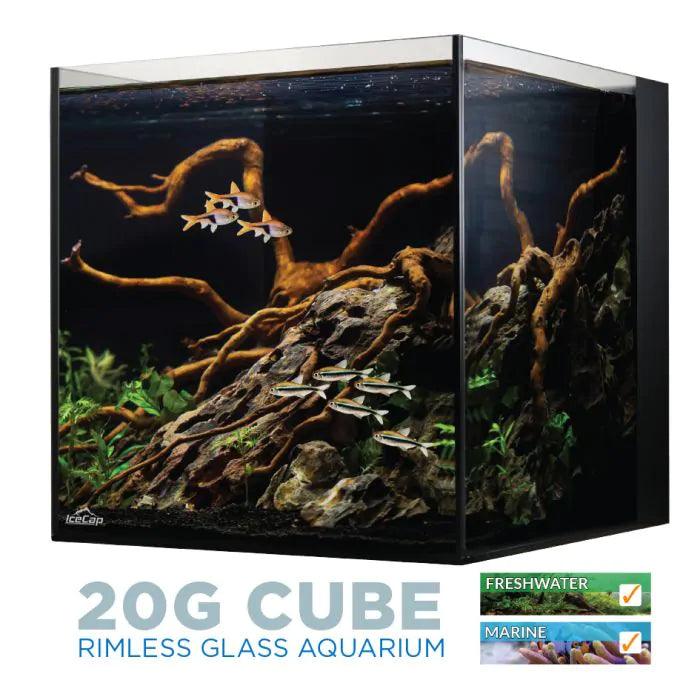 IceCap 20 Gallon Cube AIO Rimless Glass Aquarium - Ruby Mountain Aquarium supply