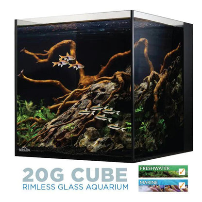 IceCap 20 Gallon Cube AIO Rimless Glass Aquarium - Ruby Mountain Aquarium supply