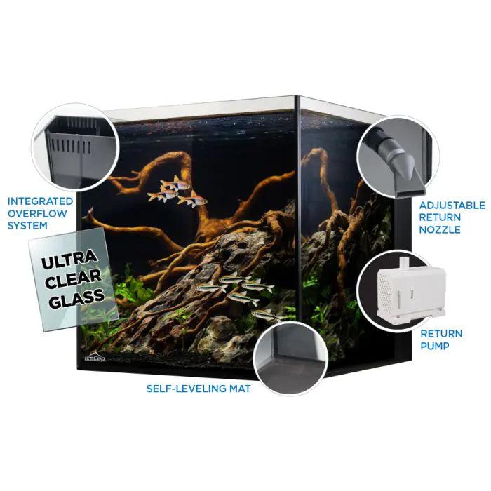 IceCap 20 Gallon Cube AIO Rimless Glass Aquarium - Ruby Mountain Aquarium supply