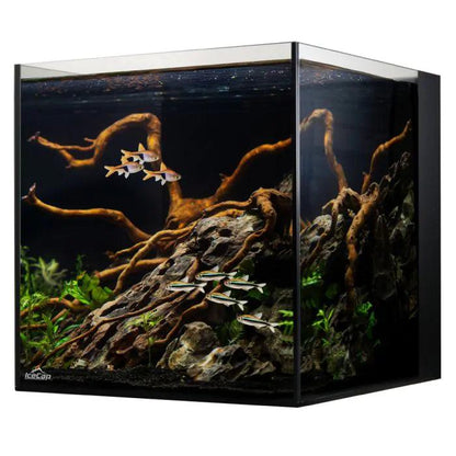 IceCap 20 Gallon Cube AIO Rimless Glass Aquarium - Ruby Mountain Aquarium supply