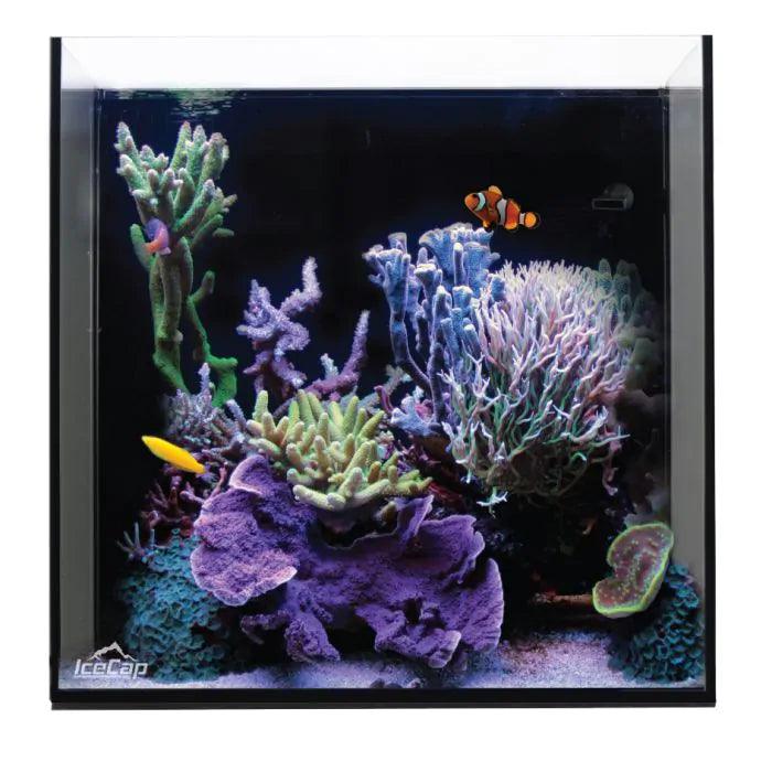 IceCap 20 Gallon Cube AIO Rimless Glass Aquarium - Ruby Mountain Aquarium supply