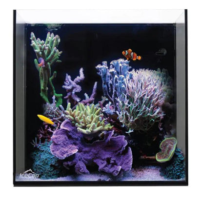 IceCap 20 Gallon Cube AIO Rimless Glass Aquarium - Ruby Mountain Aquarium supply