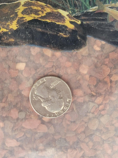 Pure Water Pebbles Pink Flamingo Gravel - Ruby Mountain Aquarium supply