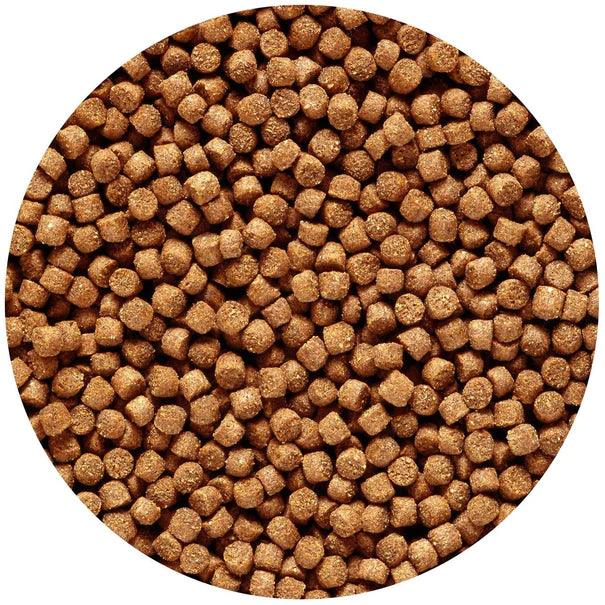 Saki-Hikari Multi-Season Floating Medium Pellet Koi Food - Ruby Mountain Aquarium supply