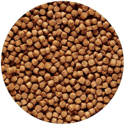 Saki-Hikari Multi-Season Floating Medium Pellet Koi Food - Ruby Mountain Aquarium supply