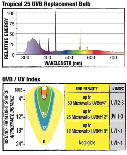 Zilla Pro Series Tropical 25 Fluorescent UVB/UVA Bulb - Ruby Mountain Aquarium supply